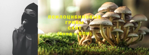 гидропоника Алексеевка