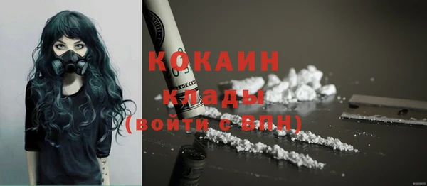 кокс Алексин