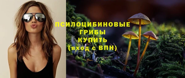 винт Аркадак